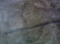 IMG_20120311_184932.jpg