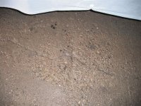 Floor 002.jpg