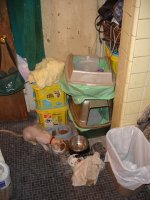 DSC01633.JPG
