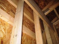 interior framing 3.jpg