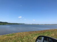 11995f29c2708b9cc75772270bba023a.jpg