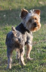 1-abner.jpg