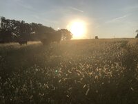a550ebc3cfafaaec159a63a0a538f7ce.jpg