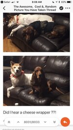 548d49332bf82d20220ce7bc26ed9cb5.jpg