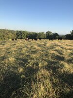 dcdf4e1055a4d31c696ab139ae994f55.jpg