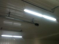 IMG_1233.jpg