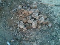 IMG00299-20111003-1749.jpg