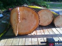 barn logs trip 1.jpg