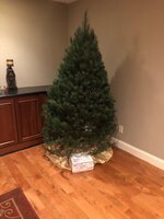 f123411ae34abac3f2bf30b377663fa5.jpg