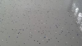 FloorTexture.jpg
