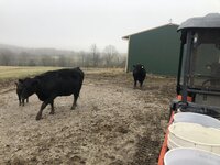 daf0330c54fd352f5fc2ea28edb8a1d0.jpg