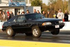 mustang1.jpg mustang1.jpg
