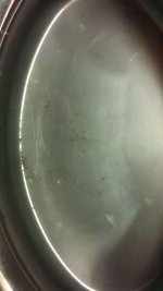 IMAG0294.jpg