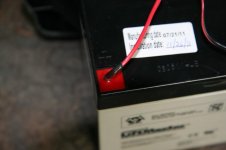 IMG_9703.jpg