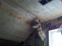 IMG01124.jpg