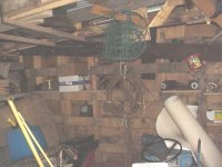 Shed4.JPG