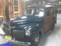 41 Woody small 1.JPG