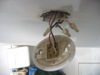 IMG_1187.JPG