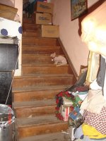 DSC00211.JPG