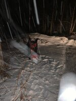 bf2c25b6c480c39e90b1d6b2cd9dbbf0.jpg