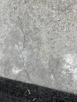24ff77091f5a76f9954414ae6e1f804f.jpg 24ff77091f5a76f9954414ae6e1f804f.jpg