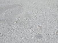 DSCF4679.jpg