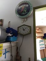 IMG_20210521_110759436.jpg