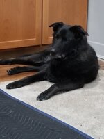 20210126_193238.jpg 20210126_193238.jpg