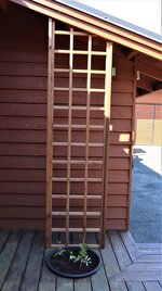 IMG_1541-XL.jpg