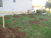 20111030 HOLES .jpg