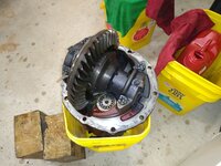 IMG_20210619_211741261.jpg