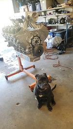 Snapchat-188675029.jpg Snapchat-188675029.jpg