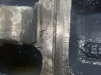 IMG_1031.jpeg