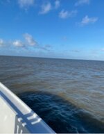 20210625_111719.jpg 20210625_111719.jpg