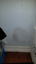 20210625_143738.jpg
