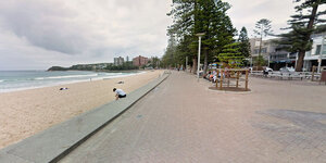Manly Beach Norfolk Pines 1.jpg Manly Beach Norfolk Pines 1.jpg