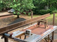 IMG_1781.jpg