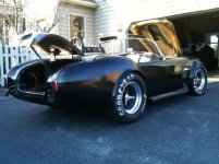 cobra 17.jpg