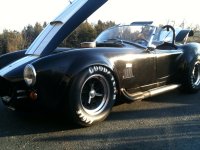 cobra 20.jpg