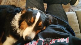20170324_163154.jpg