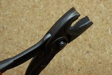 100_9519.JPG