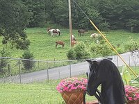 20210710_112835.jpg 20210710_112835.jpg