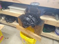 IMG_20210711_130646186.jpg