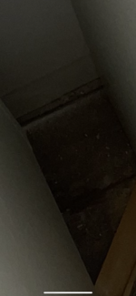 BCE40837-9D52-49BF-892F-F744602DAC87.png
