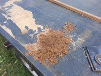 t-gate mud.jpg