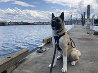 IMG_0106 copy.jpg IMG_0106 copy.jpg