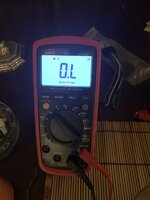 20210722_190308399_iOS.jpg