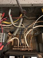 D5134BCE-6A97-47AB-92ED-ABADC1181587.jpeg