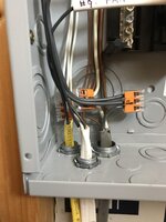 IMG_3062_(Medium).jpeg