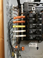 IMG_3063_(Medium).jpeg